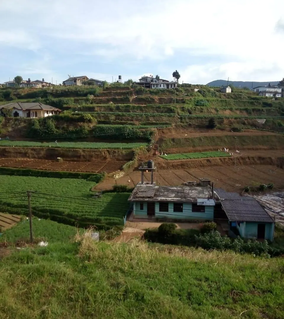 Harrisline Holiday Homes, Nuwara Eliya