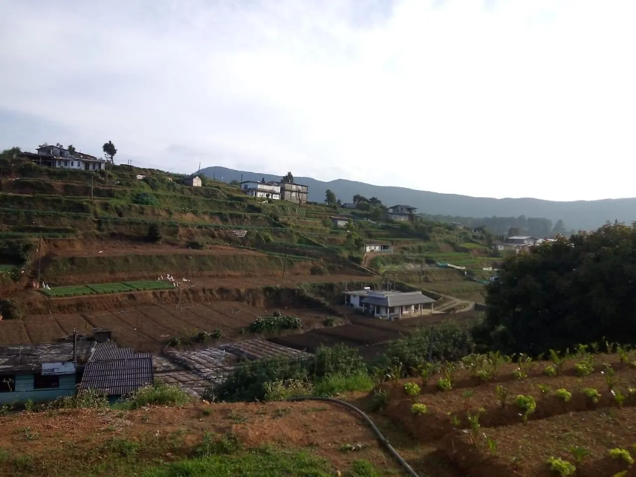 Harrisline Holiday Homes, Nuwara Eliya